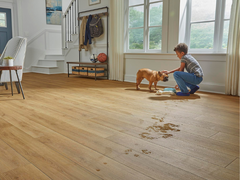 LVP vs. RevWood: Which Flooring Option Is Right For Your Home