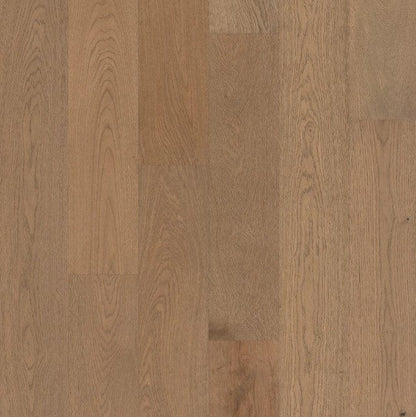 Hardwood Shaw Hardwoods - Castlewood Oak - Estate - Engineered Hardwood Shaw