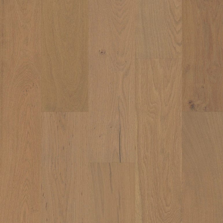 Hardwood Shaw Hardwoods - Couture Oak - Crema - Engineered Hardwood Box Shaw