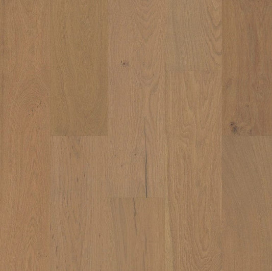 Hardwood Shaw Hardwoods - Couture Oak - Crema - Engineered Hardwood Shaw