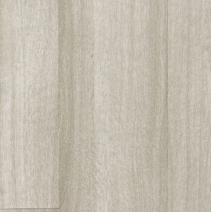 Luxury Vinyl Plank Aladdin - Footpath 20 Glue Down - Silver Fox Wood - Luxury Vinyl Plank Aladdin