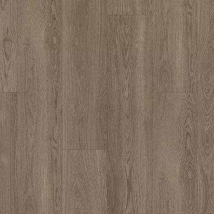 Luxury Vinyl Plank Aladdin - Wildwood Preserve - Harbor Seal Oak - Luxury Vinyl Plank Aladdin