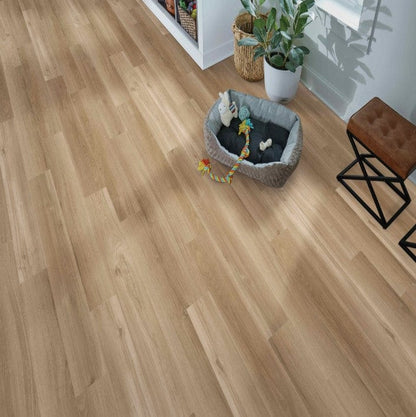 Luxury Vinyl Plank Mohawk - SolidTech Essentials - Arbor Terrace - Hartley - Luxury Vinyl Plank Mohawk