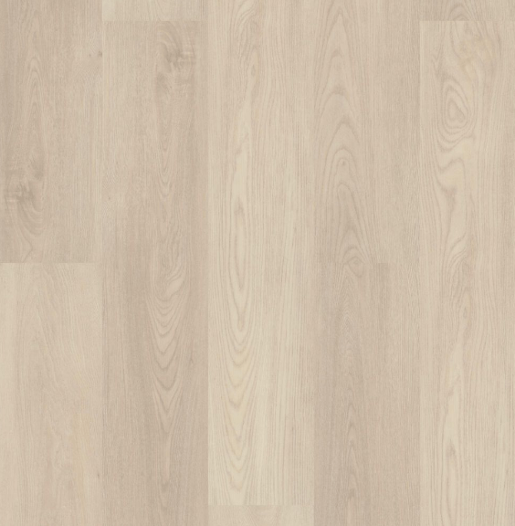 Luxury Vinyl Plank Shaw Floors - Paladin Plus - Silver Dollar - Luxury Vinyl Plank Box Shaw