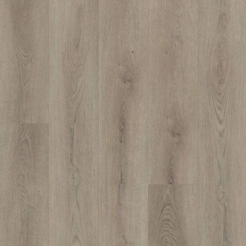 Luxury Vinyl Plank Shaw Floors - Paladin Plus - Toasted Taupe - Luxury Vinyl Plank Box Shaw