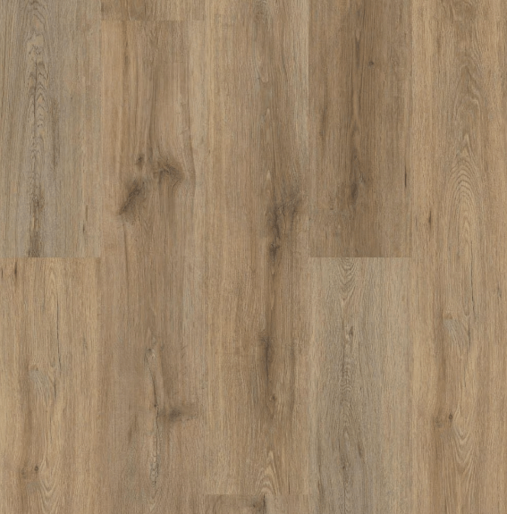 Luxury Vinyl Plank Shaw Floors - Paladin Plus - Wild Dunes - Luxury Vinyl Plank Box Shaw