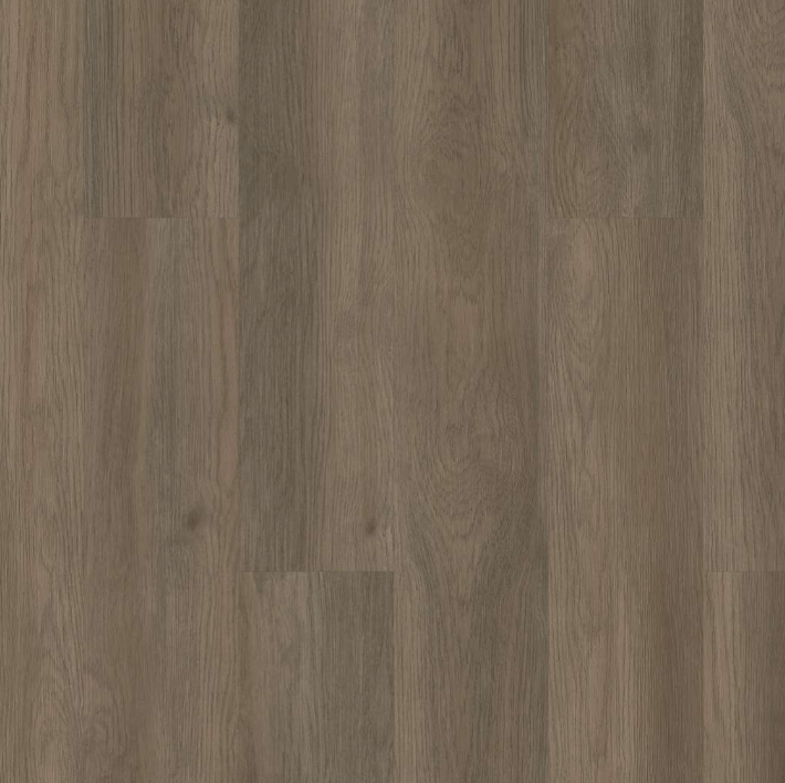 Luxury Vinyl Plank Shaw Floors - Resilient Residential - Limitless 20 - Raconteur Shaw