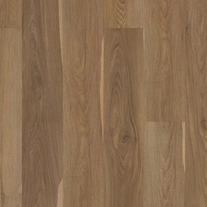 Luxury Vinyl Plank Shaw - Pantheon HD+ Natural Bevel - Olive Tree - Luxury Vinyl Plank Shaw