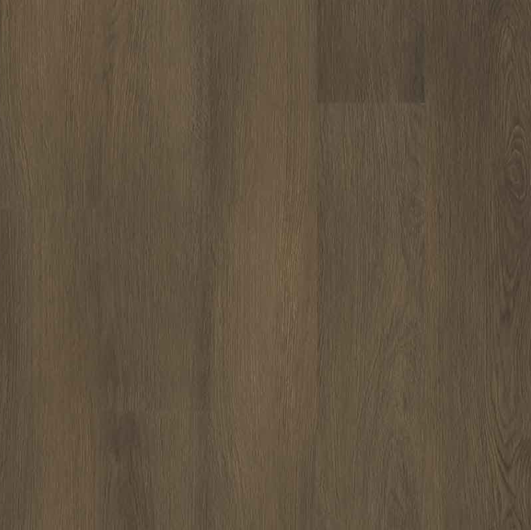 LVP MSI - Everlife® Rigid Core - Ashton 2.0 - Beckley Bruno - Luxury Vinyl Plank MSI International