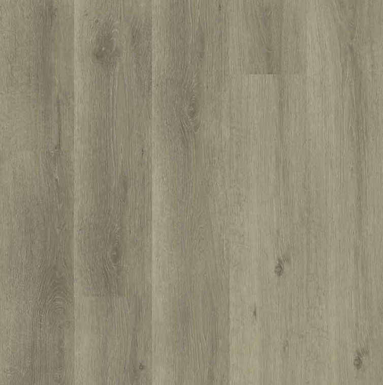 LVP MSI - Everlife® Rigid Core - Ashton 2.0 - Dillion Fog - Luxury Vinyl Plank MSI International