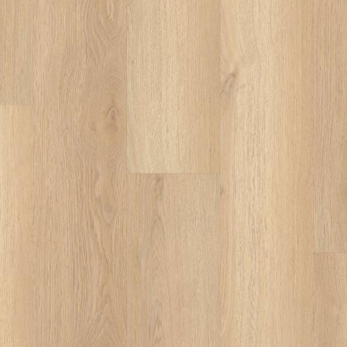 Luxury Vinyl Plank Shaw Floors - Endura Plus - White Sand Box Shaw